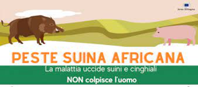 Peste Suina Africana (PSA) aiutaci a prevenire la sua diffusione 